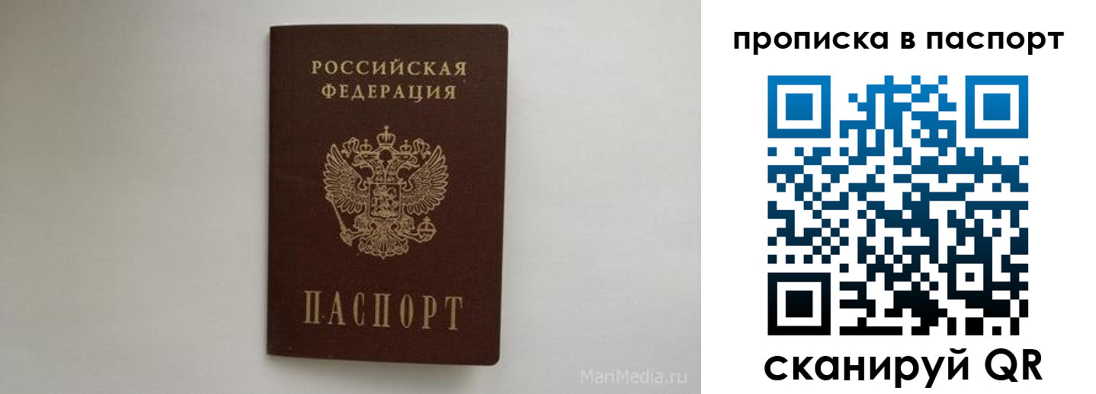 регистрация для школы в Курганинске